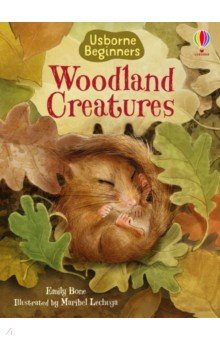 Woodland Creatures