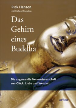 Das Gehirn eines Buddha