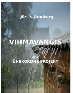 Vihmavangis ehk ühekordne projekt