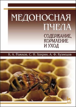 Медоносная пчела: содержание, кормление и уход