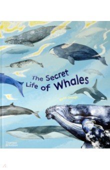 The Secret Life of Whales