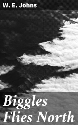 Biggles Flies North