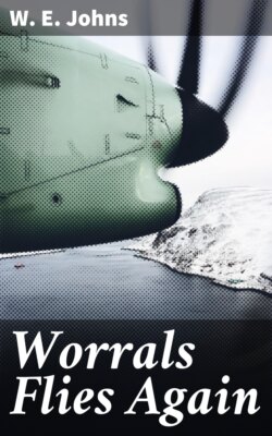 Worrals Flies Again