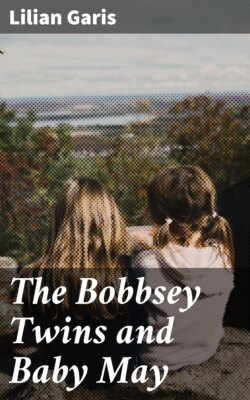 The Bobbsey Twins and Baby May