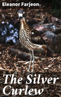 The Silver Curlew