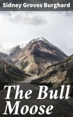 The Bull Moose