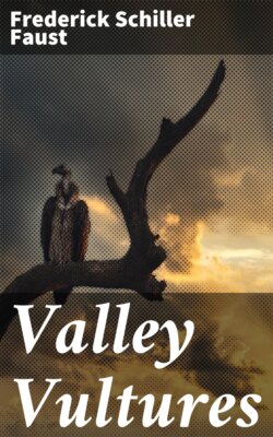 Valley Vultures