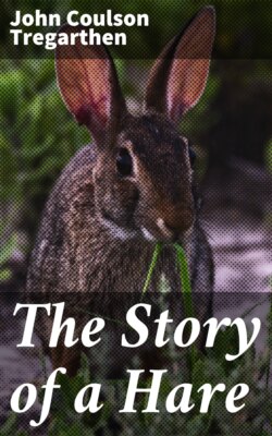 The Story of a Hare