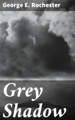 Grey Shadow