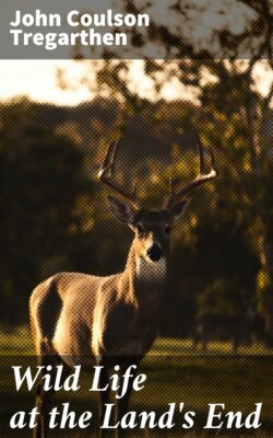 Wild Life at the Land's End