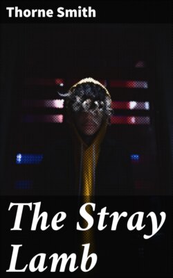 The Stray Lamb