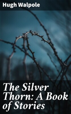 The Silver Thorn: A Book of Stories