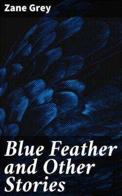 Blue Feather and Other Stories