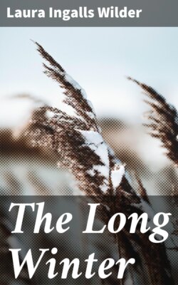 The Long Winter