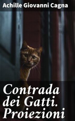 Contrada dei Gatti. Proiezioni