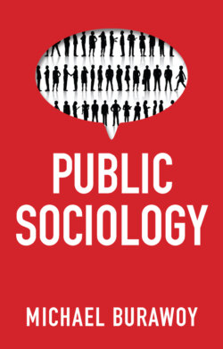 Public Sociology