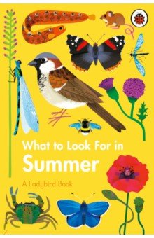 What to Look For in Summer