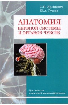 Анатомия нервной системы и органов чувств