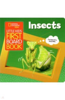 Little Kids First Board Book Insects