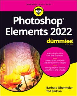 Photoshop Elements 2022 For Dummies