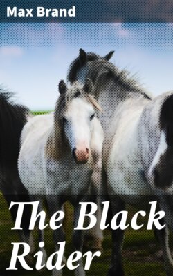 The Black Rider