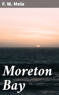 Moreton Bay