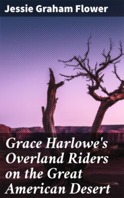 Grace Harlowe's Overland Riders on the Great American Desert