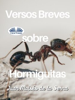 Versos Breves Sobre Hormiguitas