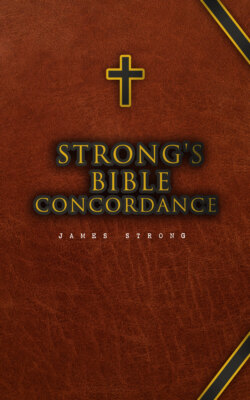 Strong's Bible Concordance