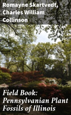 Field Book: Pennsylvanian Plant Fossils of Illinois