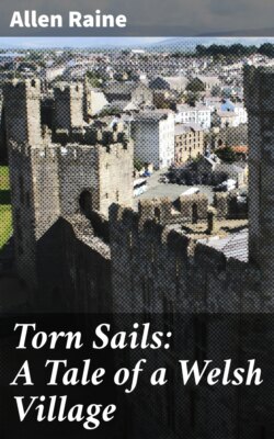 Torn Sails: A Tale of a Welsh Village