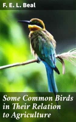 Some Common Birds in Their Relation to Agriculture