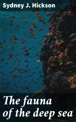 The fauna of the deep sea