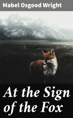 At the Sign of the Fox