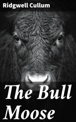 The Bull Moose