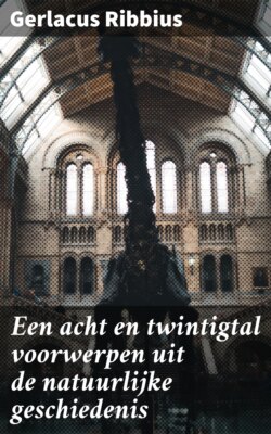 Een acht en twintigtal voorwerpen uit de natuurlijke geschiedenis