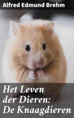 Het Leven der Dieren: De Knaagdieren