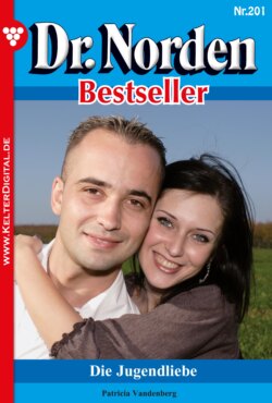 Dr. Norden Bestseller 201 – Arztroman