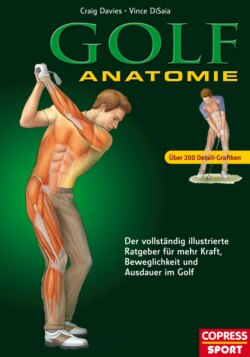 Golf Anatomie