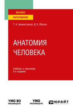 Анатомия человека 2-е изд., пер. и доп. Учебник и практикум для вузов