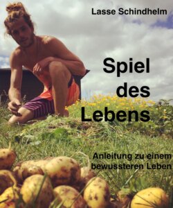 Spiel des Lebens