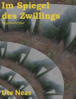 Im Spiegel des Zwillings