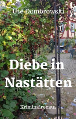 Diebe in Nastätten