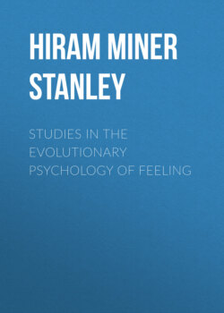 Studies in the Evolutionary Psychology of Feeling