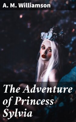 The Adventure of Princess Sylvia