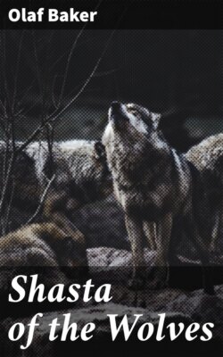 Shasta of the Wolves