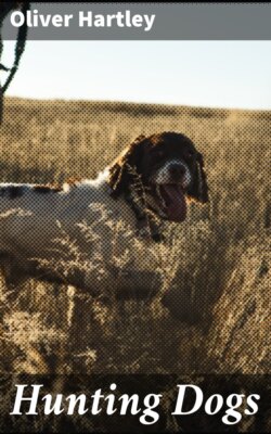 Hunting Dogs