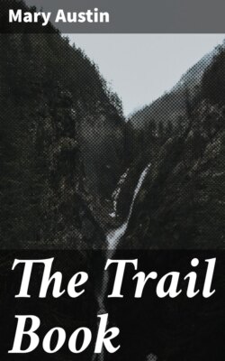 The Trail Book