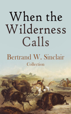 When the Wilderness Calls – Bertrand W. Sinclair Collection