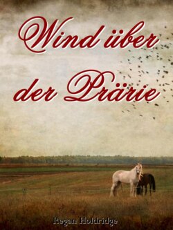 Wind über der Prärie